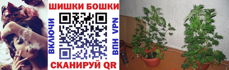как найти наркотики  Евпатория  Канабис тримм 